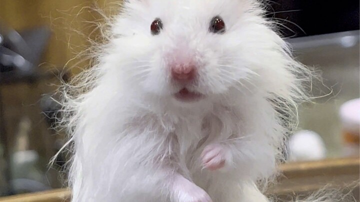 The microfiber cloth is about to turn into a steel wool pad!