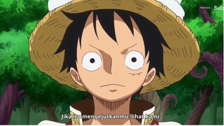 luffy lebih pintar🗿