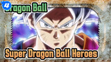 Dragon Ball|Super Dragon Ball Heroes EP VI : Ultra Instinct_4