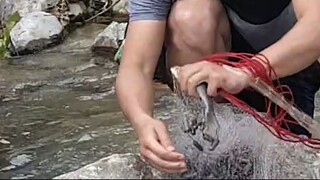 CAST NETTING IN NEPAL | FISHING HIMALAYAN TROUT | ASALA FISHING IN NEPAL |