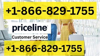 Full™ {(Quick Reservation}} of 𝓣ravelocityⓃ CUSTOMER© SERVICE℗ (24/7 Live Person Support) Numbers