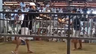 Quality vs Gulang