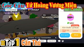 Góc Câu Tứ Hoàng Top 1 Cần Thủ | Play Together | Na Na TV