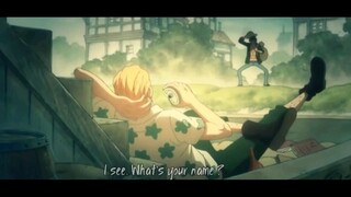 ×One Piece  AMV