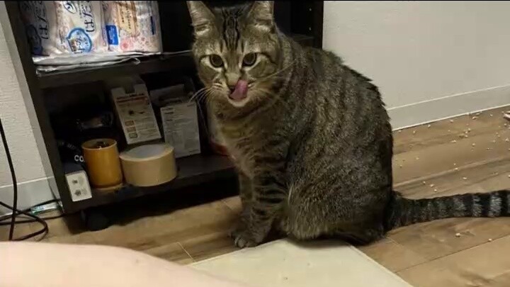 Today's Sand Sculpture Picture (422)