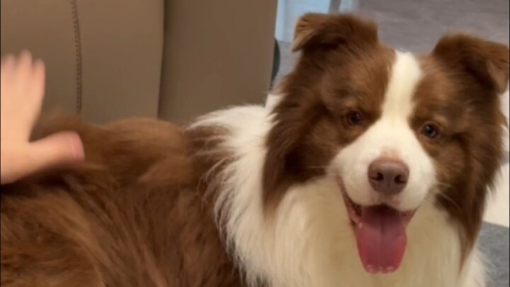 หยูจื่อ: ที่จริงแล้วทัศนคติของผมมั่นคงมากเลยนะ