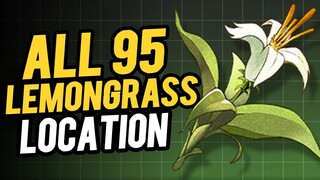 Lemongrass Location - Lemongrass Farming Route | Wuthering Waves