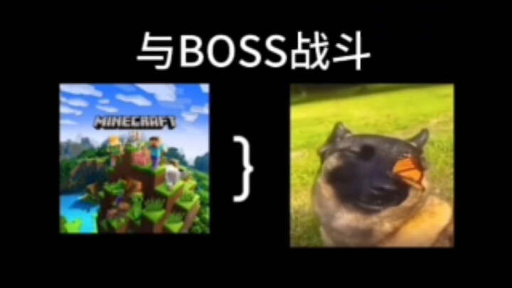 不同游戏中的boss战belike………