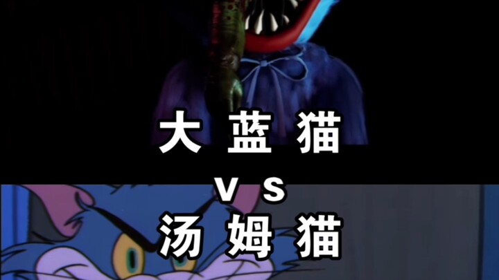 【论战】大蓝猫vs汤姆猫