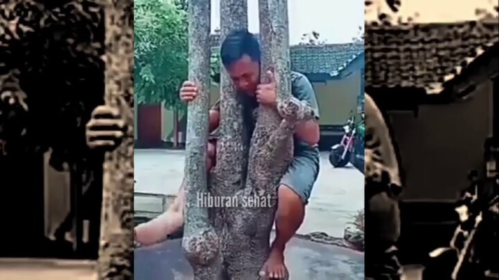 KOMPLIKASI VIDEO LUCU| ANGEL TEMEN TUTURAMU, bikin ngakakk