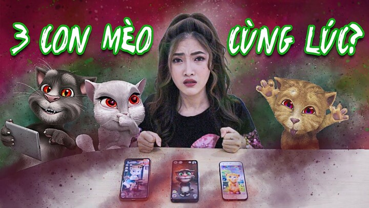 Gọi Điện Cho 3 Con Mèo Cùng Lúc: Giải Thoát Linh Hồn Tom, Angela, Ginger | Meena Channel