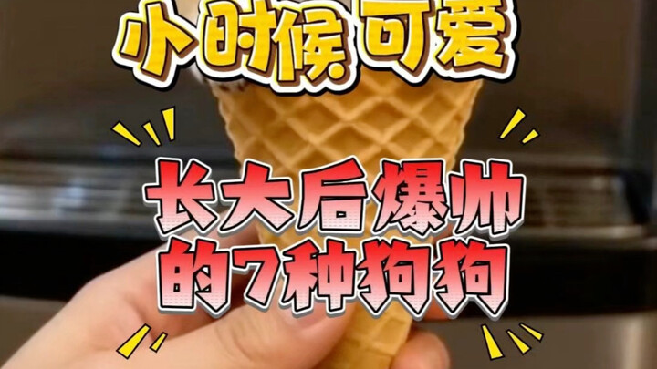 What dogs did you have as a kid? Which one was it?