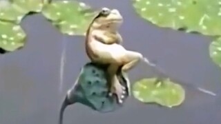 Đây chính là hạnh phúc!