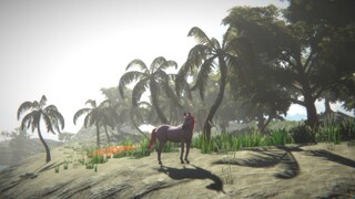 Horse and Go Seek | GamePlay PC