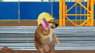 Status pendapatan lulusan