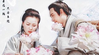 【台词混剪】诗经一样的爱情，双向奔赴，互相珍重