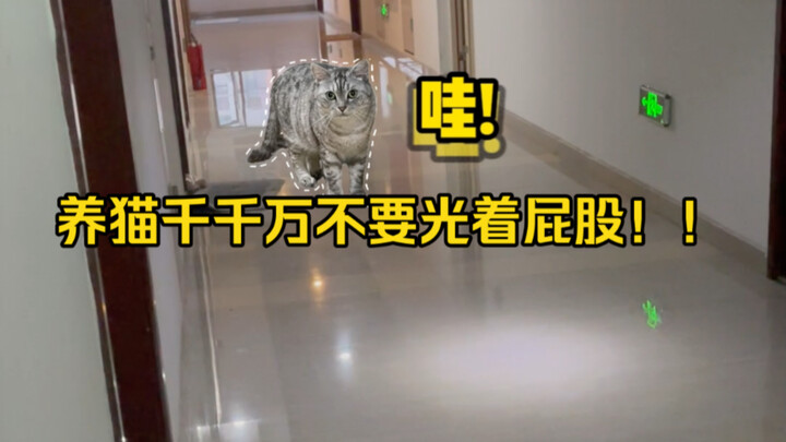 Don’t let your cat roam around with its butt exposed when you’re a thousand miles away!