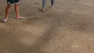 Battle stagRA GAMEFARM