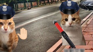When you accidentally get caught in a drunk driving bug