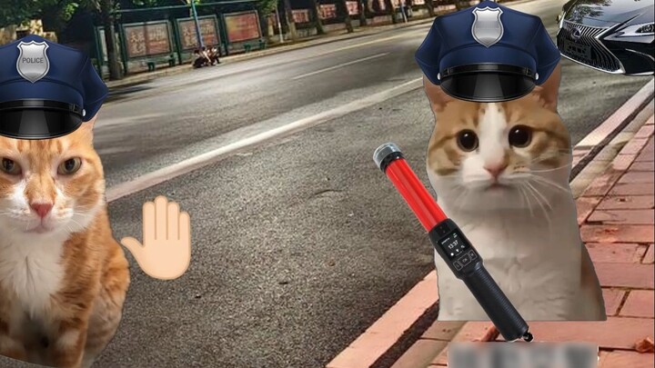 When you accidentally get caught in a drunk driving bug