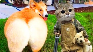 New Funny Animals 😂 Funniest Cats and Dogs Videos 😺🐶| Funny Videos