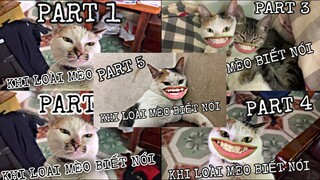 TỔNG HỢP KHI LOÀI MÈO BIẾT NÓI PART 1+2+3+4+5 | FULL 5 PART | MINH ANH HOÀNG