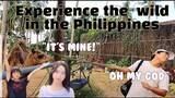 [🇰🇷🇵🇭]What was the reaction of a Korean family to a zoo in the Philippines?