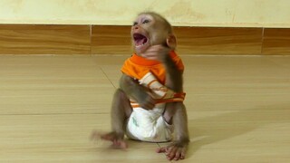 OMG!! My little Baby Maki Crying Loudly Sit Wait Mom Out of Bathroom Too long