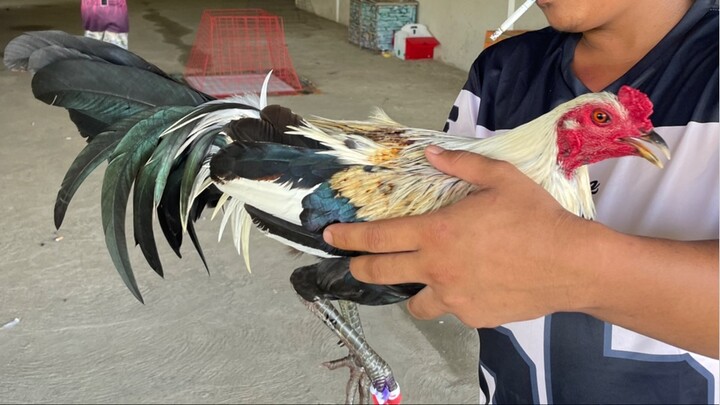 Our signature gray in  action