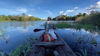 Fishing in the Amazon jungle [River]