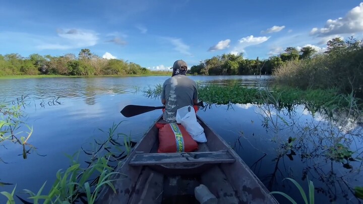 Fishing in the Amazon jungle [River]