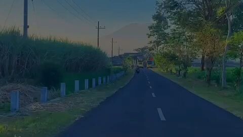 tanah kelahiran...
