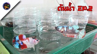 ขวดน้ำดันอึปลากัดเวอร์ชั้น2สไตล์korattv