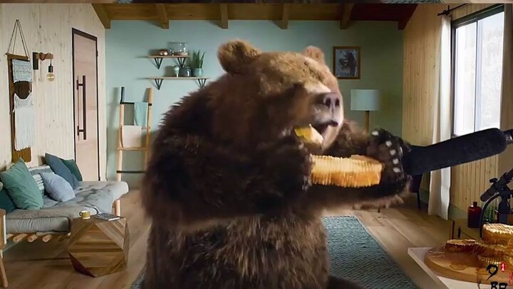 It turns out that polar bears are transformed from brown bears #Healing#Short film#Jin Zhiwen's self