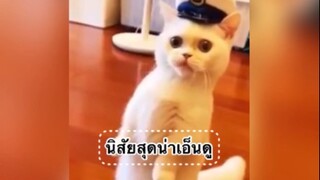 นิสัยสุดน่าเอ็นดูของสัตว์เลี้ยง