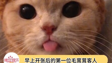Vị khách Mimi này nhìn là biết không phải lần đầu đến rồi nhỉ~