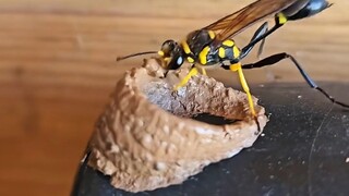 减速带！！令人惊叹的工作现场