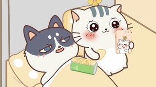 【小贱猫土豆君】女友早起后，你还能睡着吗