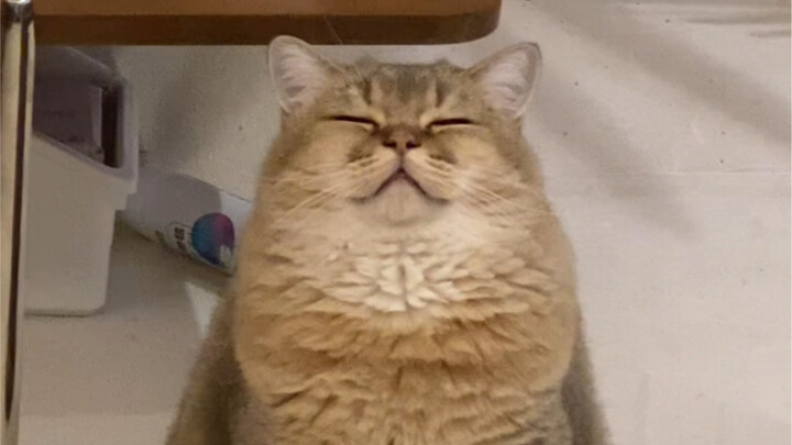 Apa kesan pertama kalian saat melihat Gao Jian Guo?