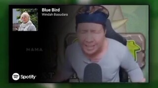 blue brid cover winda