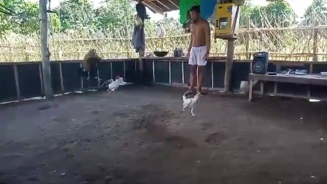 Sunday Spar 👌🏻