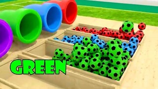 Bingo Song _ Learn Good Habits _ Colors _ Nursery Rhymes and Kids Song