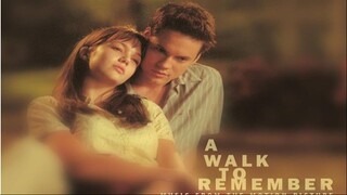 A Walk To Remember (2002)