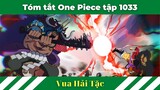 Tóm tắt One Piece tập luyện 1033 - Cú đấm dựa Vương của Luffy |ALL IN ONE Review