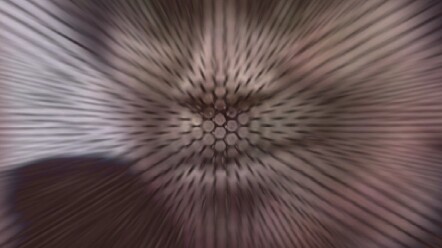 Please don't start a group, okay? I'm really a real ikun