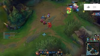 Leesin montage p5