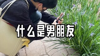 什么是...智性恋？