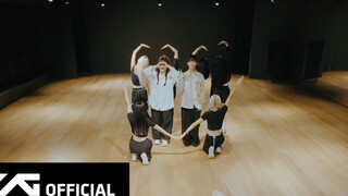 【AKMU 乐童音乐家 中字】Love Lee 舞蹈练习室