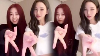 回归剧透？柳智敏x吉赛尔"比亚"挑战！(两个亚比宝宝)