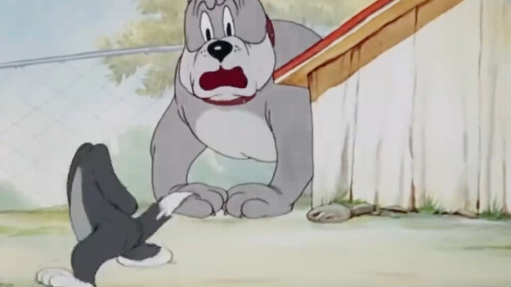 Bikin Kakak Anjing tercengang